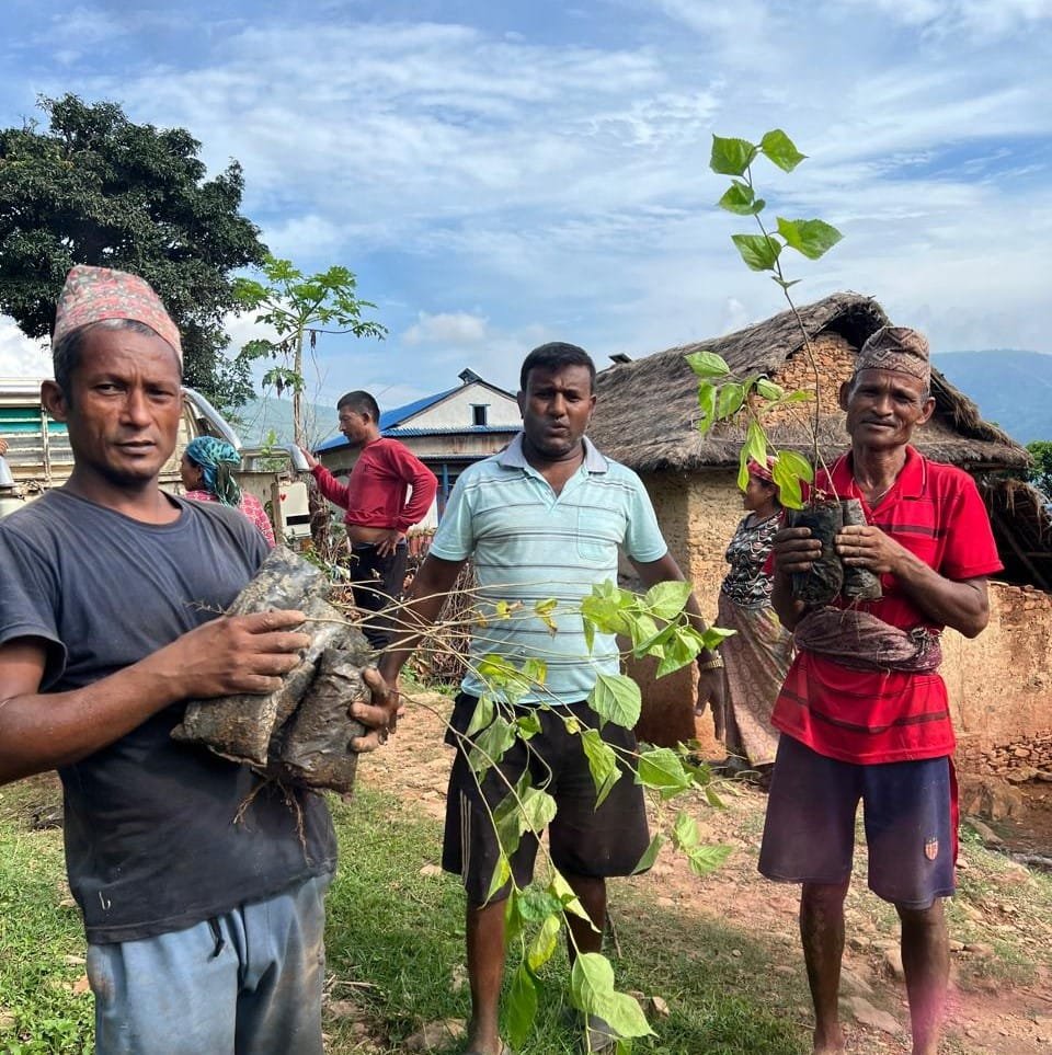 Forest for Food Program - A Gift that Grows (2) Forest for Food Program - A Gift that Grows