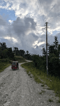 The path that leads from the accommodations to the field where we work, winding through dirt roads and trails surrounded by lush nature.
