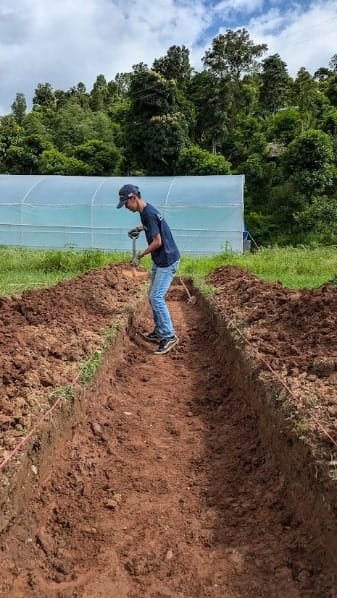 Various stages in the preparation of a seedbed