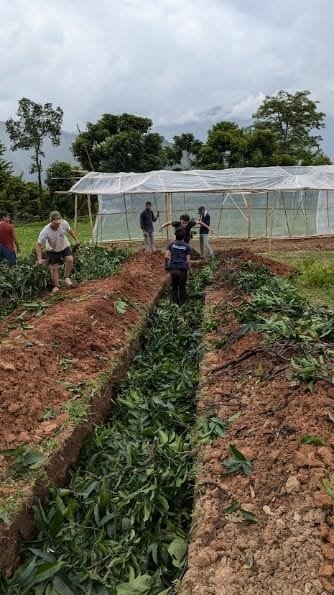 Various stages in the preparation of a seedbed